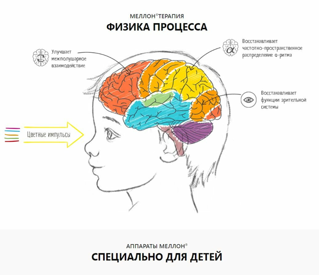 Как устроен мозг ребенка с дислексией