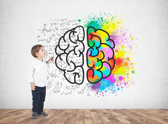 Как ребенку развить левое полушарие мозга